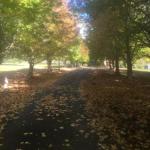 A Peaceful Cabin In The Country - Darwin Holiday 0