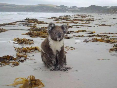Panoramic Drive Holiday House - Darwin Holiday 1