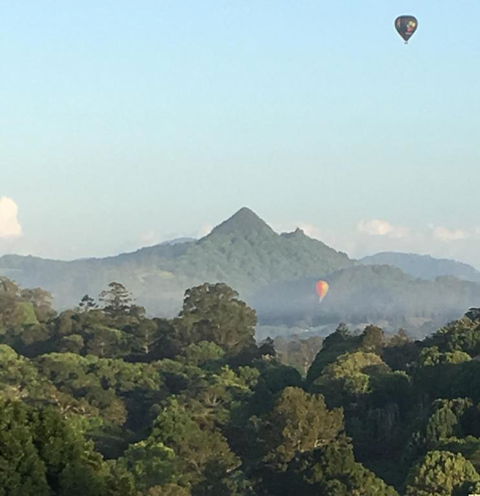 The Figs Byron - Darwin Holiday 5