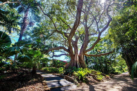 The Figs Byron - Darwin Holiday 2