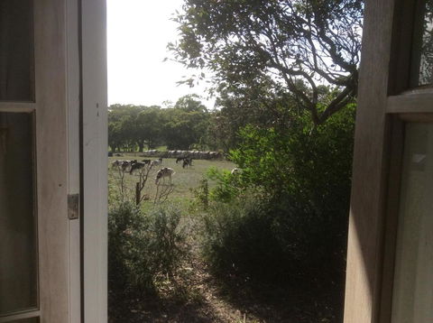 Aashay B & B - Darwin Holiday 3