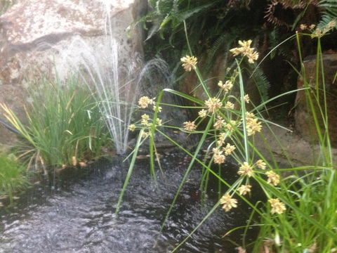 Rocky Rest - Darwin Holiday 5