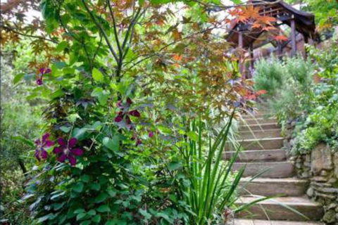 The Black Cockatoo Secret Garden Mountains Home - Darwin Holiday 6