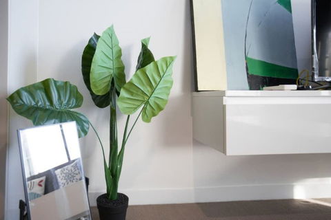 Lovely Home Close To South Cross Designer Apartment - Darwin Holiday 3