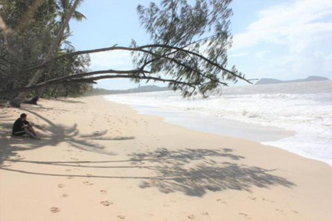 Sunbird - Darwin Holiday 2