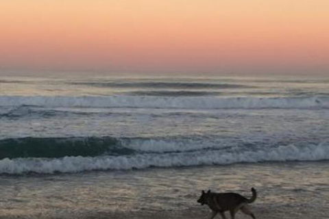 Ginaâ€˜s Place - Darwin Holiday 4