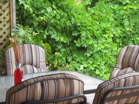 Amalie Cottage Waikerie Unit 1 - Darwin Holiday 6