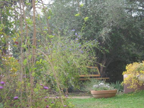 Amalie Cottage Waikerie Unit 1 - Darwin Holiday 5