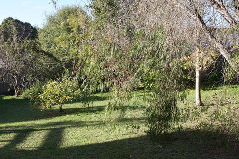 Lytton At Lonnie - Darwin Holiday 2