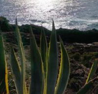 Ven  Marks Place - Darwin Holiday