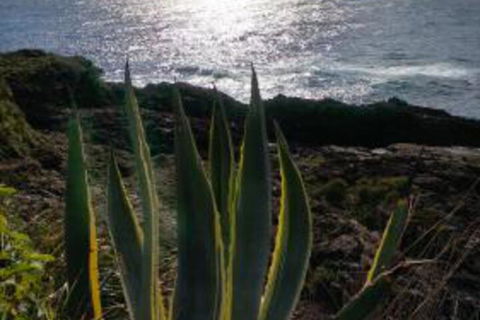 Ven & Marks Place - Darwin Holiday 0