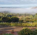 Pecan Hill BNB - Darwin Holiday