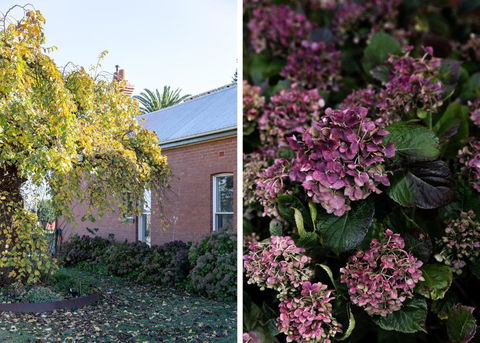 Royal Standard Farm Daylesford - Darwin Holiday 1