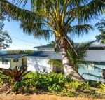 Cylinder Palms - Darwin Holiday