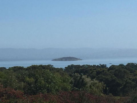 Tidal Dreaming Seaview Cottages - Darwin Holiday 4