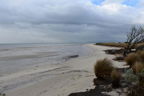 Tidal Dreaming Seaview Cottages - Darwin Holiday 6