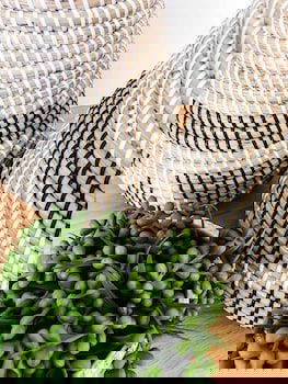 Fat Frog Beach Houses - Darwin Holiday 6