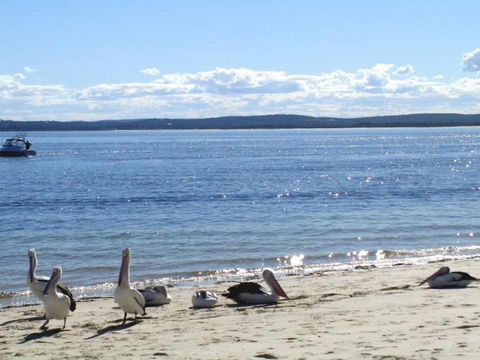 23 Bay Parklands 2 Gowrie Avenue Little Beach Air Con Pool & Tennis Court - Darwin Holiday 2