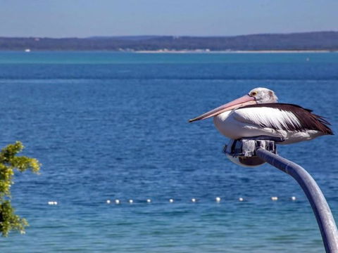 Bay Parklands Unit 69 / 2 Gowrie Avenue - Darwin Holiday 1