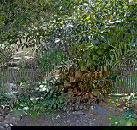 Rare Modern Unit w Private Fenced garden Close to The Beach PC3 - Darwin Holiday