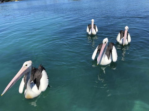 Aquarius 9 Opposite Wallis Lake - Darwin Holiday 6