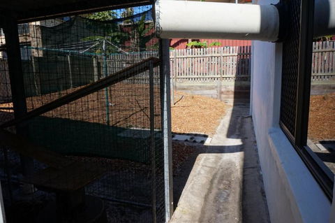 2 29 Rumbalara Avenue Rainbow Beach Bring Your Dog Or Your Cat Or Bring Both Free Wi Fi - Darwin Holiday 5