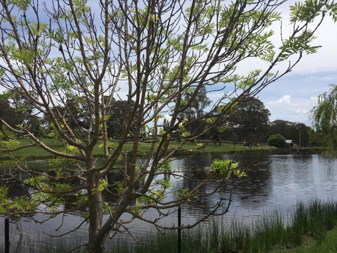 Mortimers Wines The Canopy Loft - Darwin Holiday 7