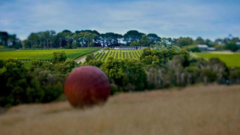 Sunryes Beach House - Darwin Holiday 6