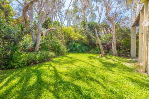 Ngungun Street 10 Dicky Beach - Darwin Holiday 6