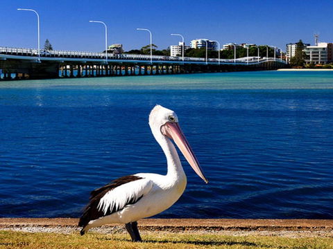 Parkside Marina 1 CBD Location - Darwin Holiday 4