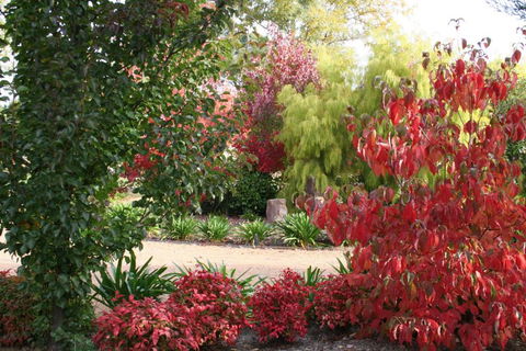Delderfield Cottages - Darwin Holiday 4