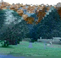 Escape to the Country - Enjoy the Firepit or Explore Magical Bunya Mountains - Darwin Holiday