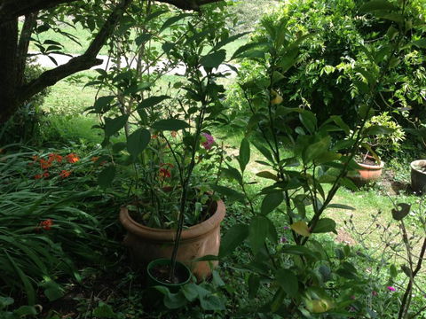 Crossways Country Inn - Darwin Holiday 6