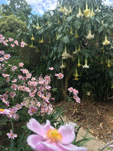 Adelaide Hills B & B Accommodation - Darwin Holiday 6