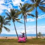 STUNNING MAGNETIC ISLAND HOMEPRIVATE LARGE POOLADULTS ONLY - Darwin Holiday 0