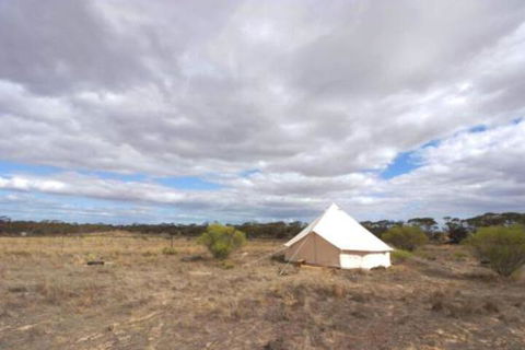 Starfields Luxury Camping - Darwin Holiday 4