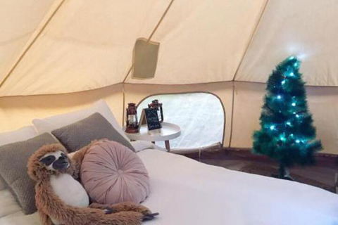 Starfields Luxury Camping - Darwin Holiday 3