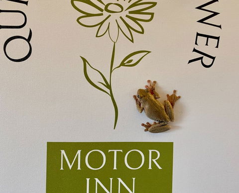 Quirindi Sunflower Motor Inn - Darwin Holiday 2