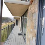 Molonys 14 - Darwin Holiday 0