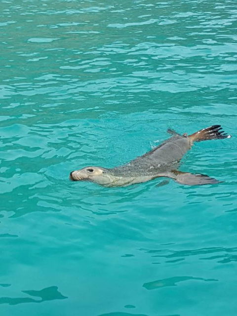 Berds Nest - Darwin Holiday 2