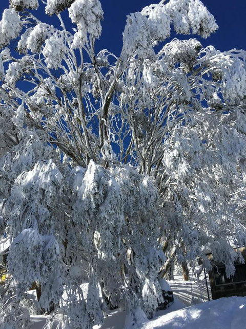 Katmandu 1 - Darwin Holiday 6