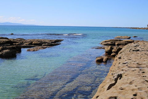 The Crescent Pet Friendly 1 Min To Beach - Darwin Holiday 1