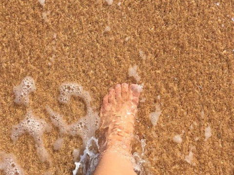 Carinya Gardens 15 - Darwin Holiday 5