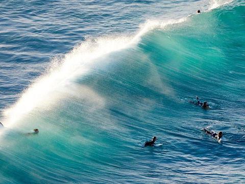 Carinya Gardens 15 - Darwin Holiday 1