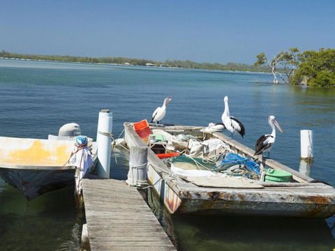 Fairholme 12 - Darwin Holiday 6