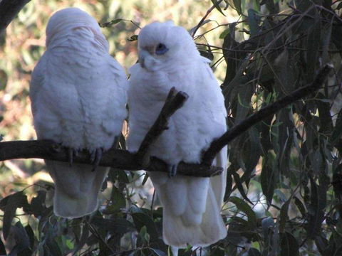 Green Point Lakehouse - Darwin Holiday 6