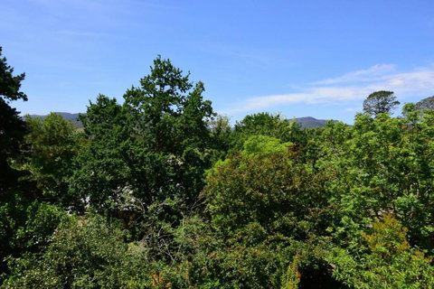 Cloudsong Chalet 3 Close To The Village Centre! - Darwin Holiday 6