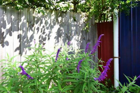 Lulu Hill Cottage Kangaroo Valley - Darwin Holiday 7