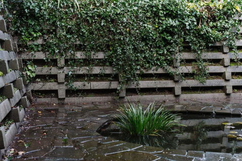 Cousin Gilbert Daylesford - Darwin Holiday 5