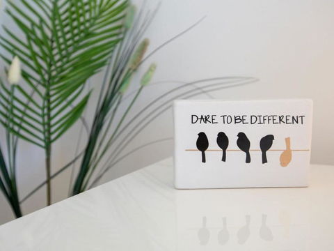 Rainbows End Soaring Views North To Gerroa - Darwin Holiday 3